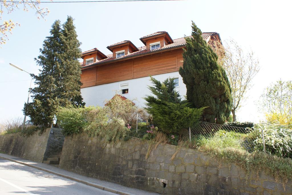 Mayerhofer House Linz Rom bilde