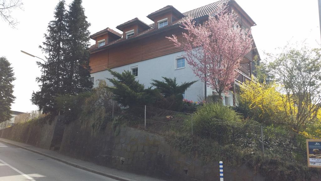 Mayerhofer House Linz Eksteriør bilde