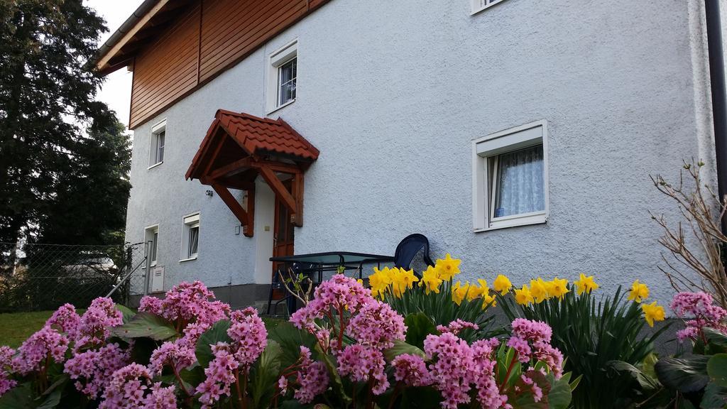 Mayerhofer House Linz Eksteriør bilde
